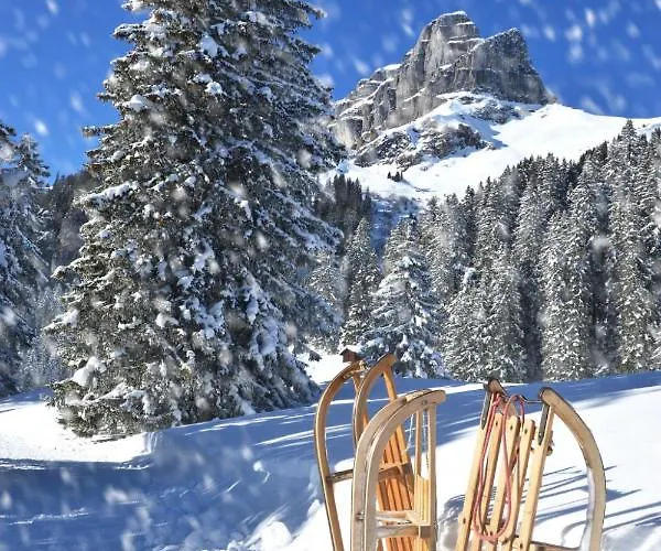 Apartmán Verbena 4 By Interhome Davos